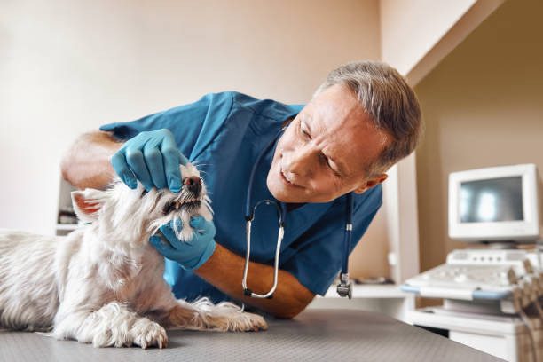 Best Knocked-Out Tooth Emergency  in Quakertown, PA